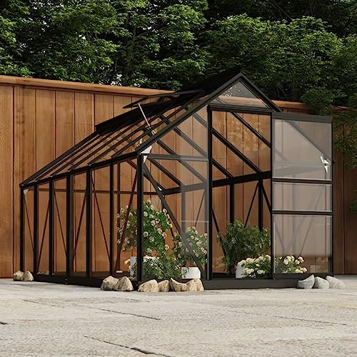 Générique Serre en Verre Anthracite 155x298x191 cm Aluminium,Serres de Jardin,136.06KG-3082335