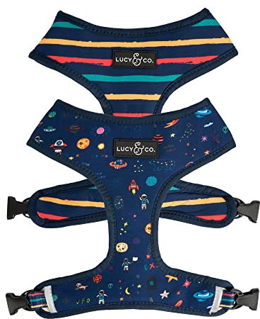 Lucy & Co. Reversible Dog Harness Walking Halter - Best Designer Pet Harnesses for Extra Small Medium Large XL Dogs Plus Pug Breeds - Padded Adjustable Puppy Vest (X-Small, Space Doodle)