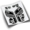 Autocollants fourche vélo Fox 34 Performance Step Cast 2021 WP325