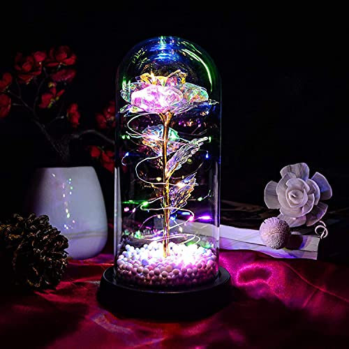 TECHSHARE Muttertagsgeschenke für Mama -Ewige Rose, Schöne und Das Biest Rose Geschenk für Frauen, Einzigartige Geschenke für Frauen, Geburtstag, Thanksgiving, Valentinstag, Jubiläum, Weihnachten
