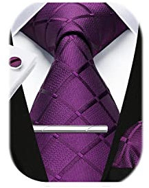 HISDERN Herren Hochzeit Violett Krawatten und Einstecktuch Krawatte Plaid Manschettenknöpfe-Krawattenklammer-Set