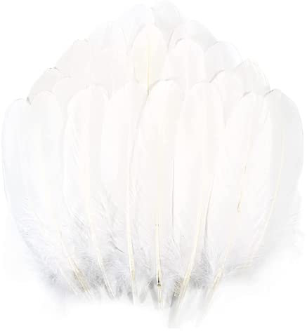 TYEQWT Federn zum Basteln, 400 Stück Bastelfedern, Federn Deko, Federn Groß, Basteln Federn Zubehör für Karneval Fasching Deko, DIY Ohrring, Hochzeit, Traumfänger, Kopfschmucksfedern, Schulhandwerk