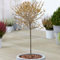 Prunus Kojou-No-Mai Baum | Zwerg-Fuji-Zierbäume für kleine Gärten in Töpfen