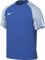 NIKE DH8031-463 M NK DF Academy JSY SS T-Shirt Men's Royal Blue/White/White Size XL