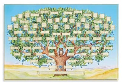Poster genealogico da compilare con albero genealogico di 6 generazioni, bianco e riempibile, stampa su tela, poster geneologico, regalo per membri della famiglia, stile poster 40 x 60 cm