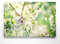Bezaubernde Frühlingsblume, Frühlingslicht - als großes XXL Leinwand-Bild 120x80cm. Ideal als Hintergrund und Dekoration für Wohnzimmer & Schlafzimmer. Aufgespannt auf 2cm Holzrahmen