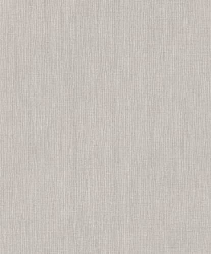 Rasch Tapeten Vliestapete (universell) Grau 10,05 m x 0,53 m Florentine III 484564