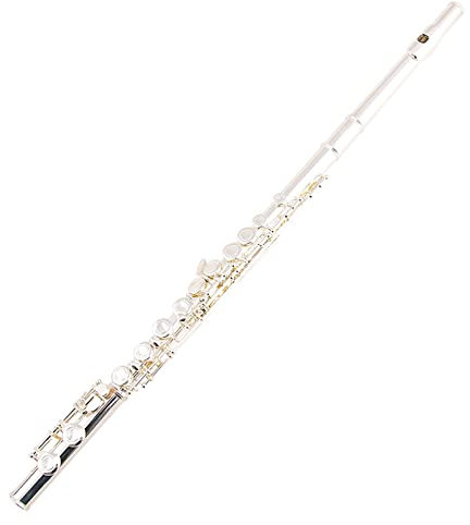 flöte Instrument Linkshänder Flöte Rückhandflöte Instrument Linkshänder 16-Loch Geschlossenes Loch Versilbert