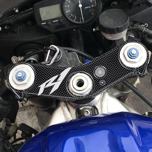 labelbike - 3D Aufkleber für Motorrad Gabelplattenschutz kompatibel mit Yamaha R1 bis 2001