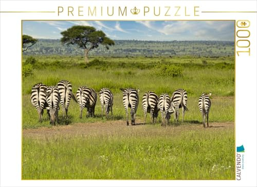 CALVENDO Puzzle Eine Herde Zebras | 1000 Teile Lege-Größe 64 x 48 cm Foto-Puzzle für glückliche Stunden