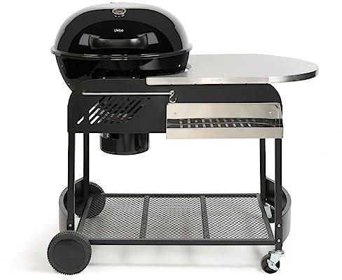 Livoo, Barbacoa de carbón con postre y almacenamiento DOC 272, superficie de cocción de 54 cm de diámetro, para 6 a 10 personas, revestimiento de barbacoa: acero esmaltado, postre de acero inoxidable