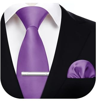 HISDERN Mens Ties Set 3.4 Purple Tie and Hankerchief with Clip Solid Color Formal Classic Necktie and Pocket Square Wedding Business Party Necktie Sets for Men
