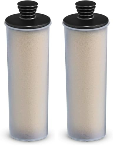 Kärcher 28630180 Cartouche filtrante pour nettoyeurs vapeur SC 3 et SC 3 easy fix, Gris (Lot de 2)