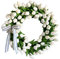 ZYLLZY 12Inch White Tulip Wreath for Front Door,Artificial Silk Flower Wreaths with Bowknot,Handcrafted Greenery Wreath Rattan Tulip Summer Wreath for Window Wall Wedding Valentines Day Decor