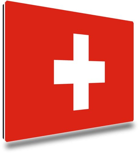 TRIOSK Kühlschrankmagnete Länderflaggen Magnet Flagge Schweiz Länder Reise Souvenir Geschenk für Reiselustige Frauen Männer Weltenbummler Kühlschrank stark eckig groß 85x55 mm