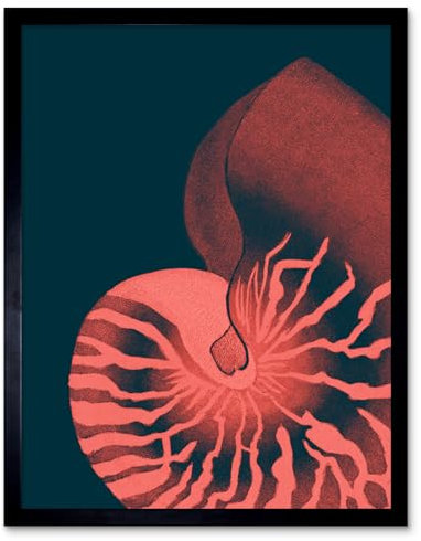 Wee Blue Coo Pink Seashell Nautilus Art Print Framed Poster Wall Decor 12x16 inch Rosa Wand Deko