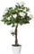 Outsunny 90cm/3FT Artificial Rose Tree, Fake Decorative Plant with Pot, Indoor Outdoor Faux Decoration Home Office Decor, White