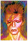 Holz Puzzle 1000 Teile David Bowie Puzzles für Erwachsene und Kinder anspruchsvoll 1000 Piece 29.5x19.6inch(75x50cm) Kein Rahmen