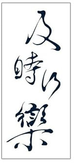 2 PCS Pegatinas De Tatuaje De Jugo De Hierbas Semipermanentes Impermeables No Reflectantes Caracteres Chinos Carpe Diem