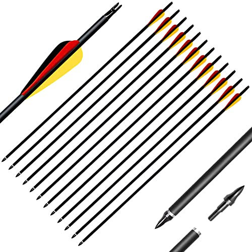 Deweey 12 Stück Pfeile, 31 Zoll Carbonpfeile Bogenpfeile mit Kunststoffbefiederung für Bogen, Recurvebogen, Langbogen und traditionellen Bogen