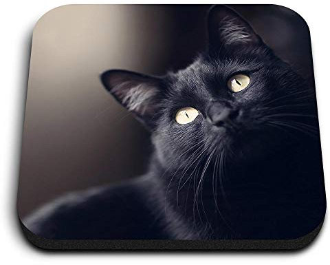 1 x Square MDF Fridge Magnet - Black Cat Kitten 2603