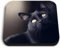 1 x Square MDF Fridge Magnet - Black Cat Kitten 2603