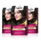 Schwarzkopf Palette Intensive, 3x Creme Color, Tinte 4 cabello Castaño intenso, Óptima cobertura de canas, Coloración permanente de cuidado con aceite de marula, Color hasta 8 semanas
