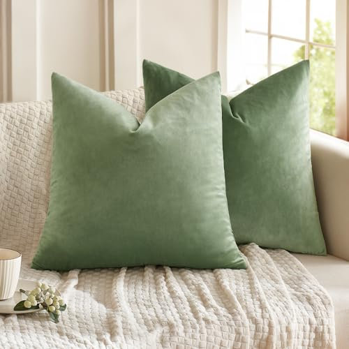 MIULEE 2er Set Samt Soft Solid Dekorative Quadrat Wurf Kissenbezüge Set Kissen Fall für Sofa Schlafzimmer Erbsen Grün 16x16 Zoll 40x40 cm