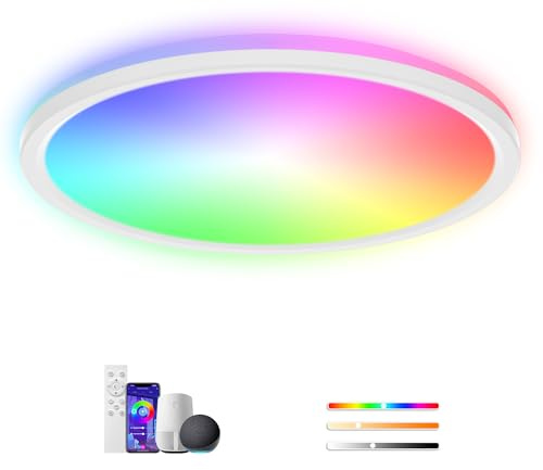 Rawhui 24W Ø29cm LED Deckenleuchte Dimmbar,Smart RGB LED Deckenlampe mit Fernbedienung,Led Deckenleuchte Rund,2400LM,Kompatibel mit Alexa & Google Assistant,für Wohnzimmer Schlafzimmer