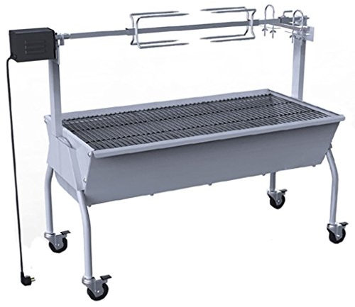 Tidyard Catherinol Rôtissoire en Fer Acier Inoxydable Barbecue Grill Électrique Jardin