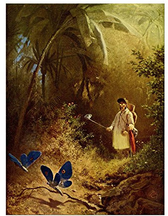 Kunstdruck Poster - Carl Spitzweg Der Schmetterlingsfänger 20x30 cm ca. A4 - Alte Meister Bild ohne Rahmen