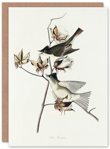 Artery8 John James Audubon Art Card Pewit Flycatcher Birds