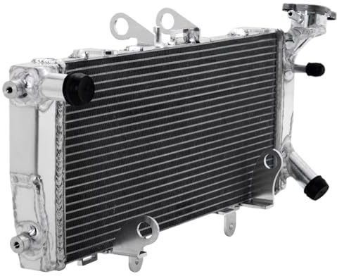 Compatible Con R1200R 2014 2015 2017 2018 Para R1200RS 2015 2016 2017 2018 Radiador De Motor Enfriador De Agua Tanques De Desbordamiento Del Radiador Radiador Moto Enfriamiento