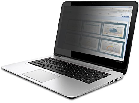 V7 PS12.5W9A2-2E 12,5 Blickschutzfilter (16:9, 27,66 x 15,54 cm / 10,89 x 6,12 Zoll, matt/glossy, Reinigungstuch, Befestigungslaschen)