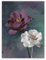 STYLER Leinwandbild Violet Rose 60 x 80 cm I Wandbild Leinwand romantisches Blumenmotiv I Wohnzimmer Schlafzimmer Esszimmer Büro I Wanddeko Home Design I Blumen Natur modern I Made in Europe