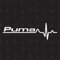 Puma Herzschlag - Sticker
