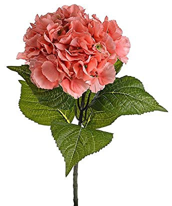 FloristryWarehouse Hortensias artificiales de seda 67 cm/26 pulgadas de alto acuarela Coral