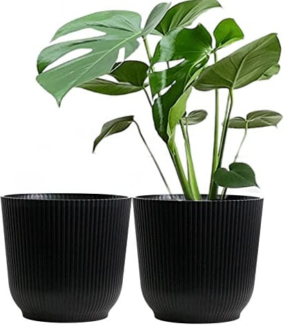 Olly & Rose Oxford, Vaso per piante, in plastica rinforzata, confezione da 2, per interni ed esterni, per giardino e casa, vasi per piante in resina temperata (nero, 22 cm)