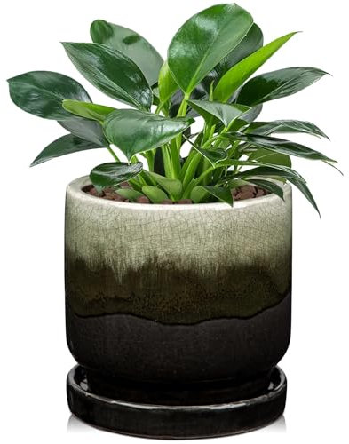 Oairse Pot de fleurs en céramique avec trous de drainage et soucoupes, diamètre : 13 cm, pour l'intérieur, les plantes d'intérieur, le jardin extérieur, noir