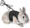 Verstellbares Weiches Kaninchen Geschirr mit Elastischer Leine für Kleines Tier Kitty Haustier Geschirr und Leine für Häschen Katze Little Pet Walking (S(Brust 27,5-33cm), Schwarz)