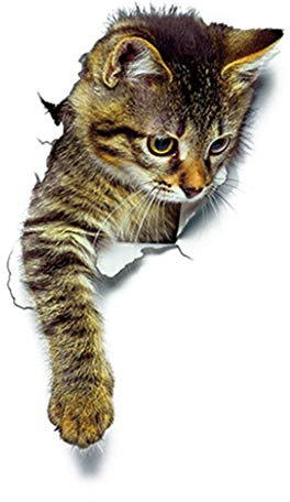 Ogquaton Sticker mural 3D mignon chat pour salle de bain et WC