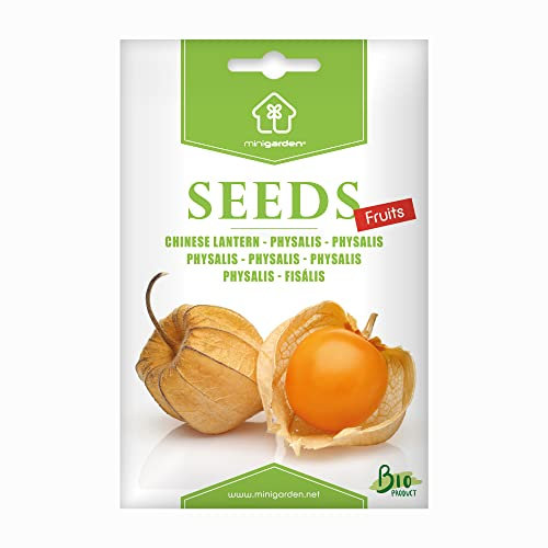 Bio-Physalis-Samen von Minigarden – 100% natürlich, GVO-frei, bereit zur Aussaat, reproduzierbar – 150–180 Samen