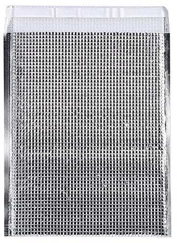 Gigicial Paquete de 10 bolsas de envío aisladas con papel de aluminio, bolsa aislante, forros térmicos para alimentos congelados y calientes para lonchera, camping, picnic (25 * 30cm)