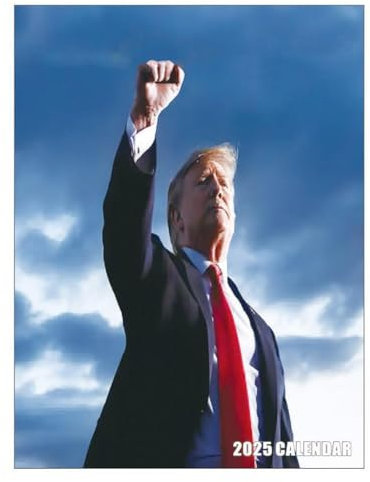 Donald 2025 Wandkalender, lustiger Donald-Monatswandkalender, Donald-Kalender, Geschenke, Wandkalender 2025, 12 Kalender, Donald Mont-Monatskalender