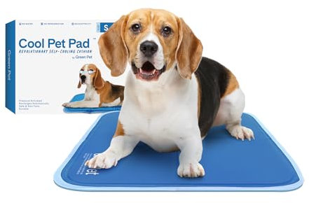 TheGreenPetShop CBROSEY Katzen