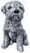 stoneandstyle Statuetta di pietra di cane maltese, resistente al gelo e agli agenti atmosferici fino a -30°C, in pietra massiccia