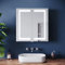 ELEGANT Bathroom Mirror Cabinets with Lights and Shaver Socket, Double Door Stainless Steel Bathroom Wall Cabinets with Three-color Infinitely Dimmable & Adjustable Shelves & Demister Pad 630 x 650mm