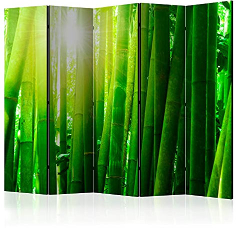 murando - Paravent Raumteiler Innen Bambus 225x172 cm 5-teilig Einseitig Raumtrenner Trennwand Holz Room Divider Mobiler Sichtschutz Spanische Wand Raum Natur Botanik Pflanze Asien p-C-0024-z-c
