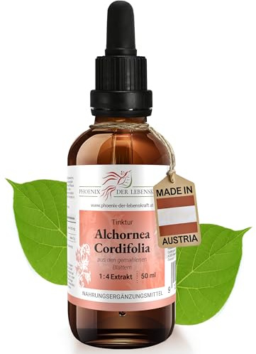 Alchornea cordifolia Tinktur 50ml | Christmas Bush Tropfen (1:4 Auszug) | Nahrungsergänzungsmittel aus Österreich | mit gemahlenen Blättern | Bitter Leaf, Ipa, Serpentwood