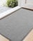 COLOR&GEOMETRY Dirt Trapper Door Matts Indoor 61x91 cm, Indoor Door Mat Non Slip, Front Door Mat Heavy Duty, Absorbent Doormats Inside for Entrance, Muddy Paws, Light Grey (Rolled-up NO Creases)